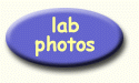 lab photos