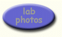 lab photos