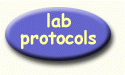 lab protocols